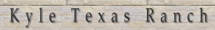 header and main navigational menu